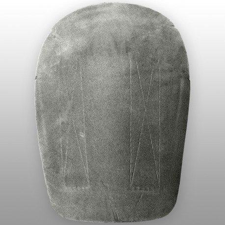 TSG Kneepads Roller Derby