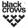 Black Crows