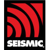 Seismic