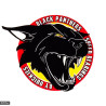 Black panthers 