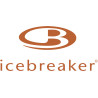 Icebreaker