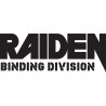 Raiden