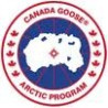 Canada goose